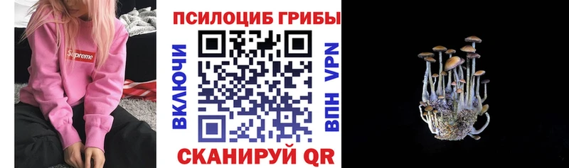 купить закладку  Анива  Псилоцибиновые грибы мухоморы 